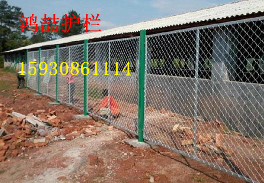 美格網(wǎng)護欄網(wǎng) 美格網(wǎng)護欄網(wǎng)
